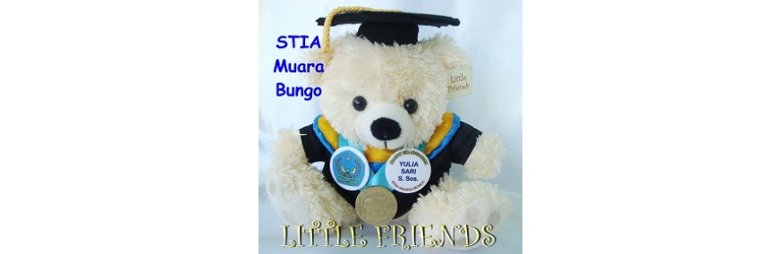Boneka Wisuda STIA Muara Bungo